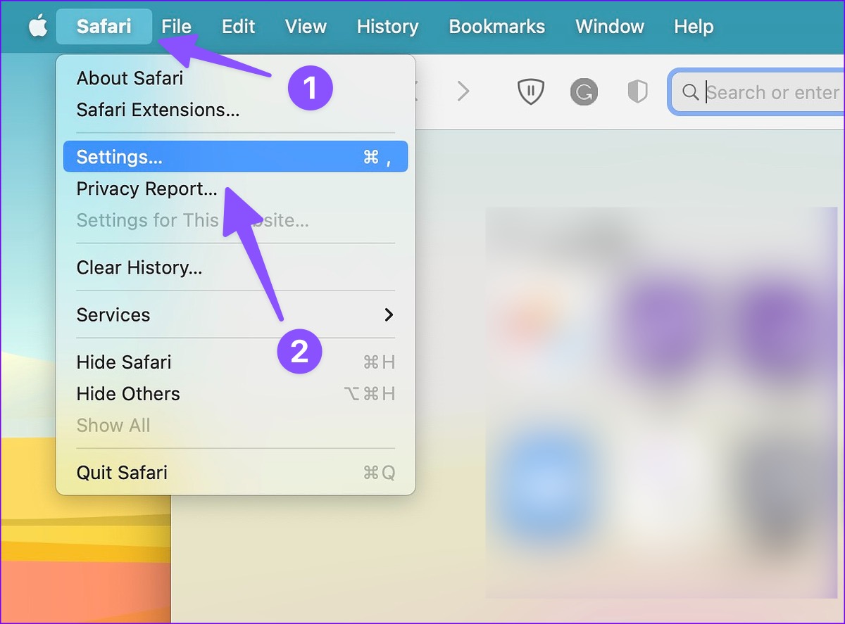 Open Safari Settings on Mac