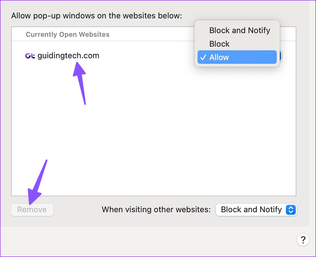 remove website from pop-up permission