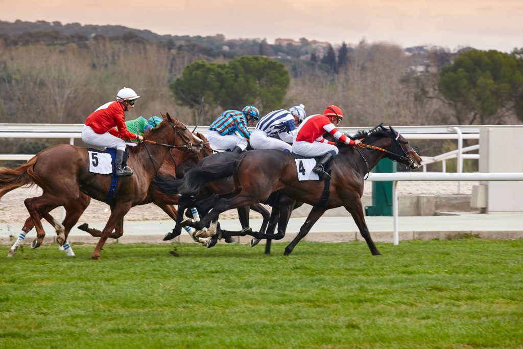 Understanding the Business Aspects Around the Horse Racing Industry