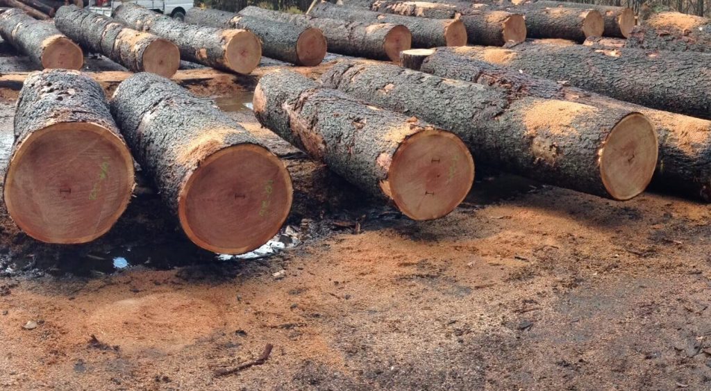 Reasons Why Hardwood Logs Are the Best Option