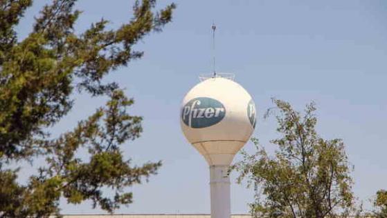 Pfizer reaffirms guidance after Q1 fall in Covid-19 revenue