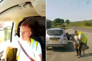 Dashcam vid shows hero van driver saving choking motorist's life on country lane
