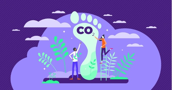 Carbon Footprint Calculator: Why Do We Need Them? Here is all the Information