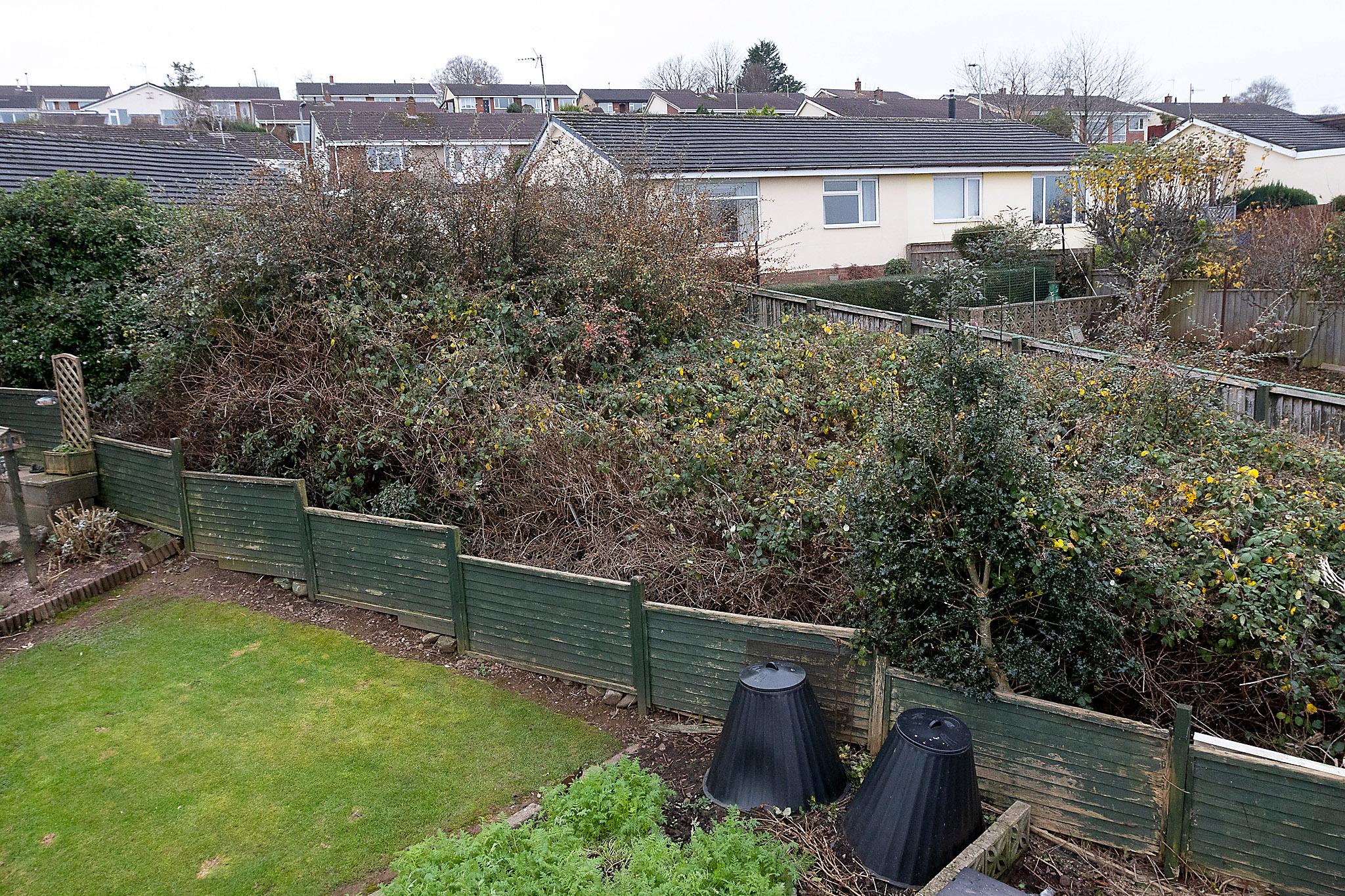 The property's overgrown back garden