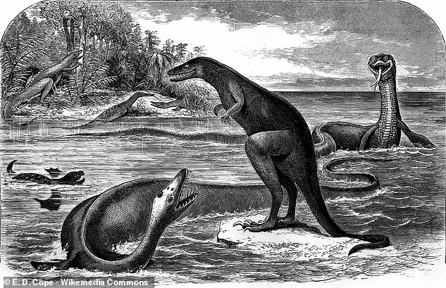 Because the fossil record was limited, paleoartists often made mistakes. In this illustration, the head of the Elasmosaurus (bottom left) is attached where its tail should be