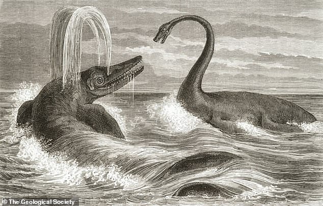 Aquatic dinosaurs like the Ichthyosaur (left) and Plesiosaur (right) were often depicted as mortal enemies battling for the sea, as in the 1863 illustration