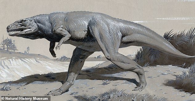 Advances in the fossil record now show that the megalosaurus (pictured) actually walked on two legs