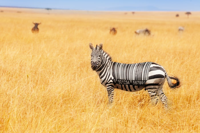 One zebra covered in barcode stripes on the open plains, with a herd grazing in the blurry distance under a wide open sky.