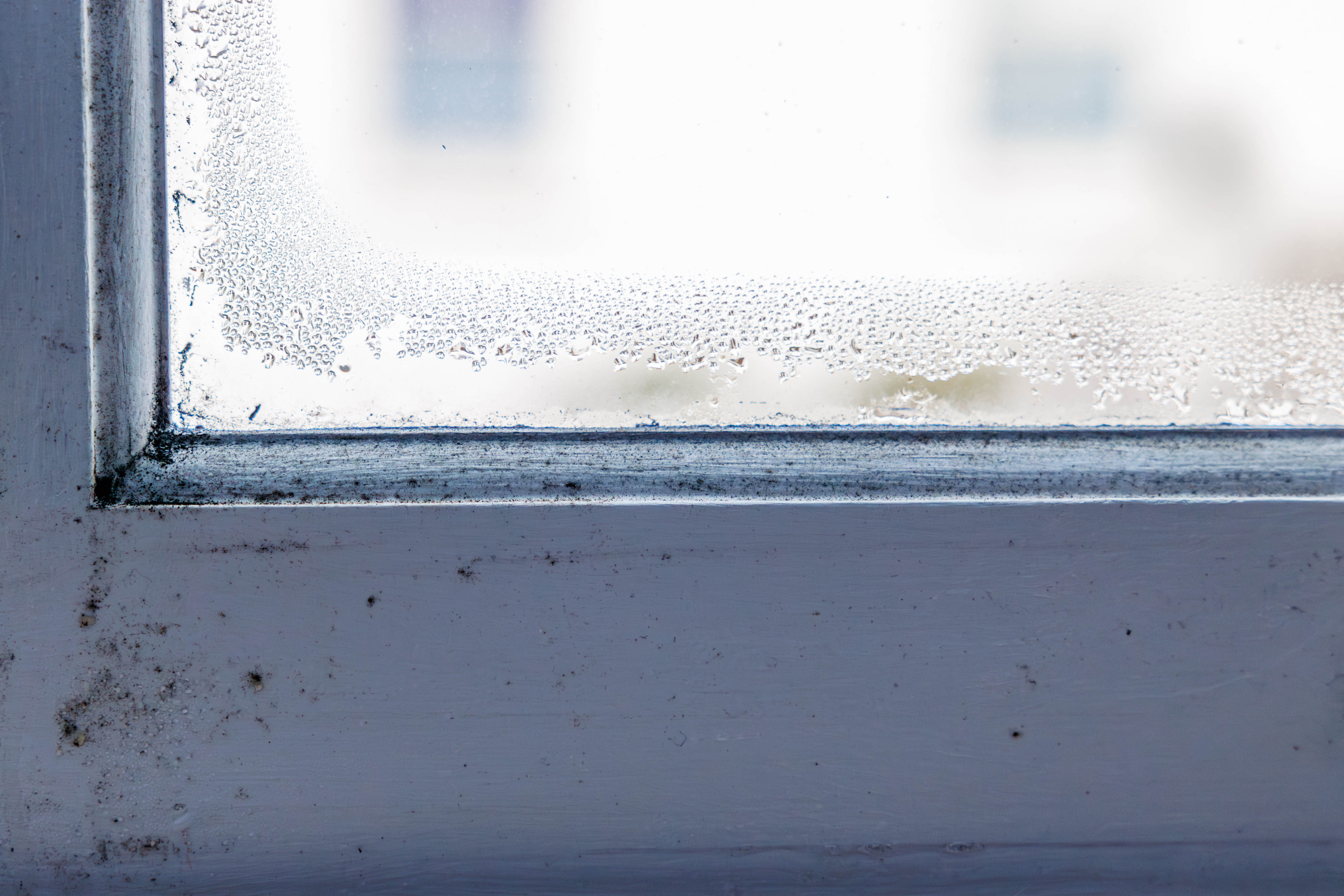 Problems with condensation and mould is something households dread in winter