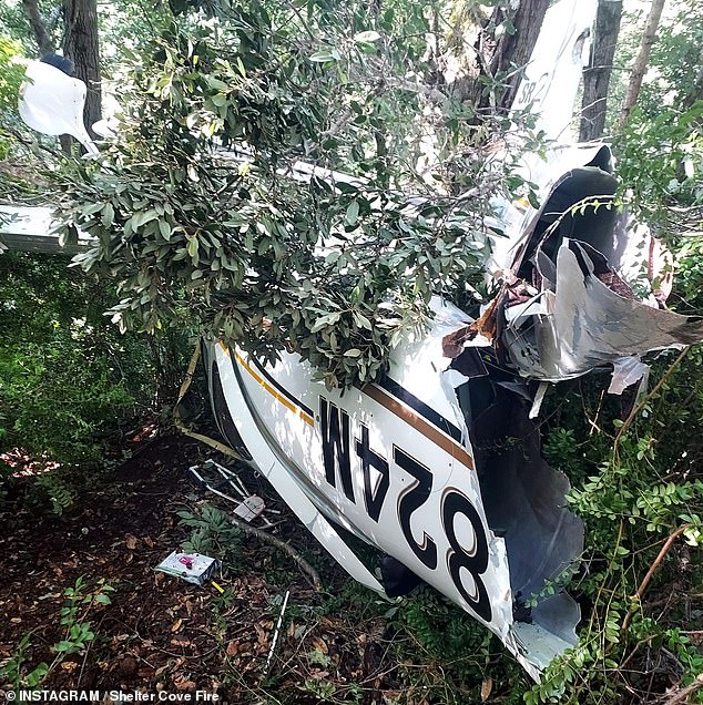 The frame of the light aircraft had been torn open by the impact despite the parachute