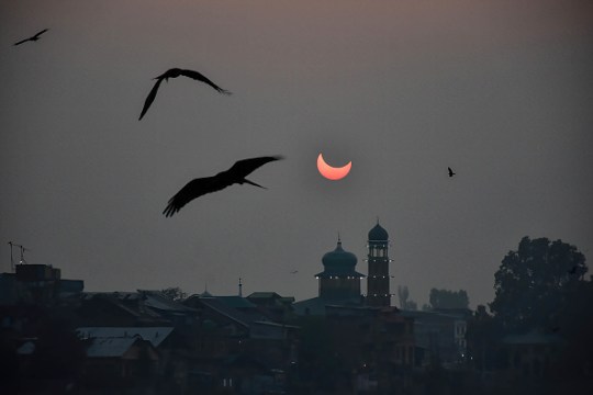 Birds fly as a partial solar eclipse is seen in Srinagar