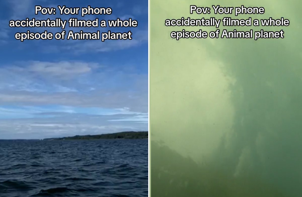 Underwater iPhone footage in Denmark.