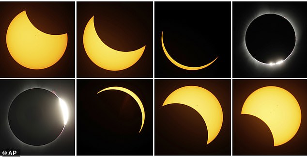 Scientists studied animal's behaviors during the last solar eclipse in 2017 to better understand why they exhibit unusual behavior as the moon blocks out the sun