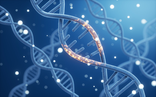 Science biotechnology DNA chromosome, 3D rendering