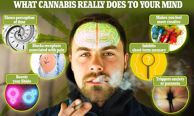 As 4/20 rolls around again, MailOnline has asked the experts what your brain is really like on drugs and reveals the strange effects of cannabis you might not know